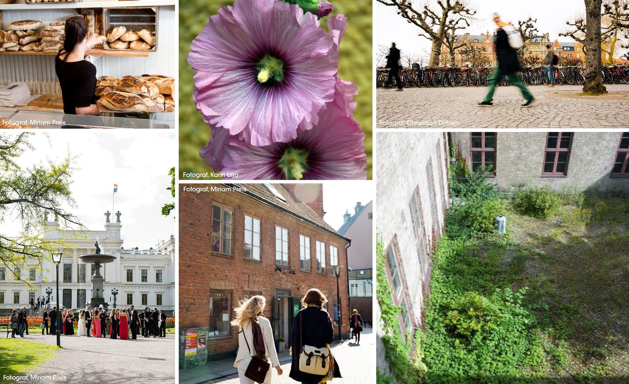 Bildkollage över Lund