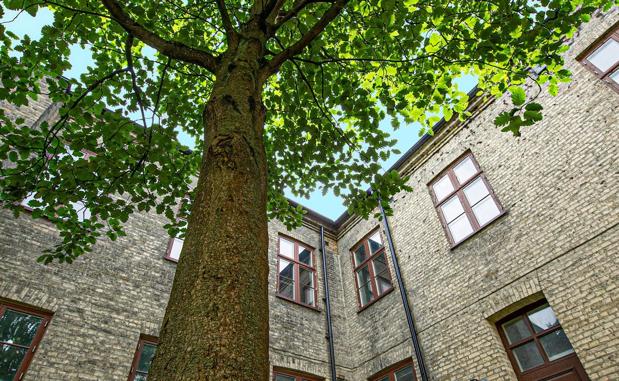 Exteriör bild över Granitor Properties bostäder Brf Maria Magle i Lund