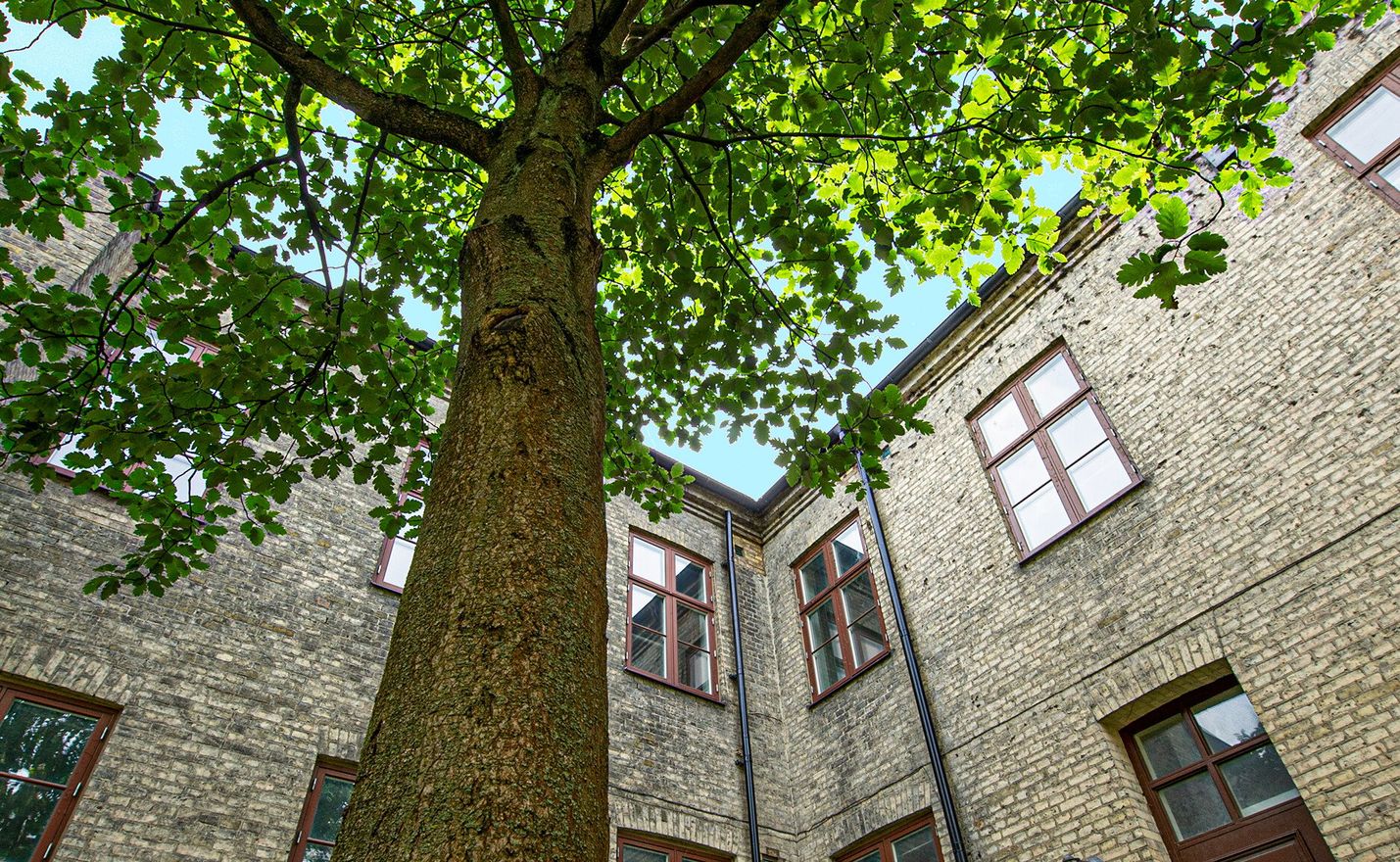 Exteriör bild över Granitor Properties bostäder Brf Maria Magle i Lund