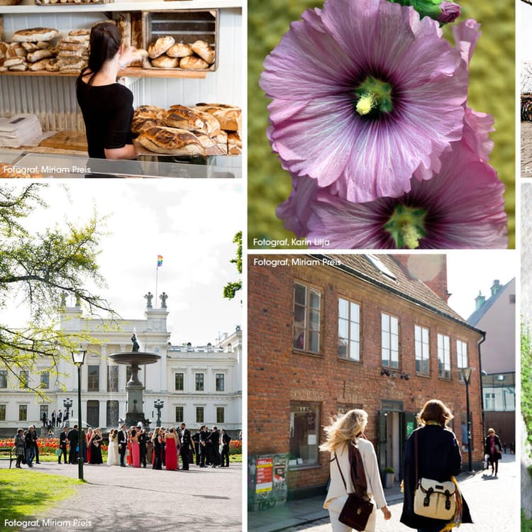 Bildkollage över Lund