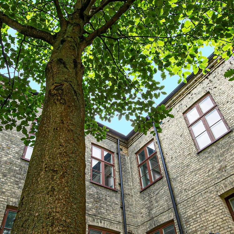 Exteriör bild över Granitor Properties bostäder Brf Maria Magle i Lund